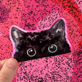 peek-a-boo cat sticker