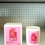Darwin days candle - coconut and lime