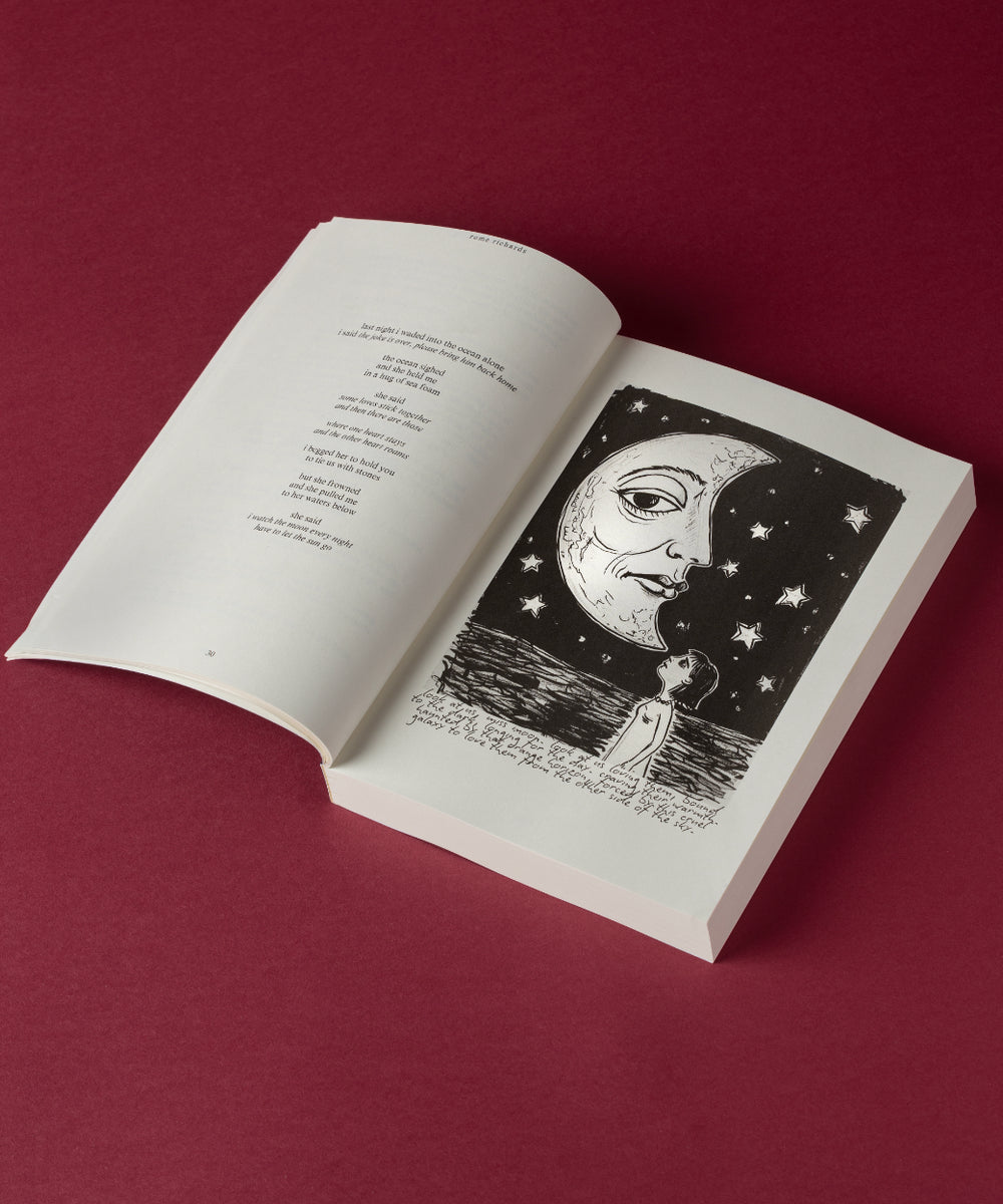 girl on the ceiling poetry book
